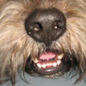 Meet your Posher, Debra